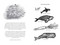 The Whalemaster by Michael Moniz, 9781927018798