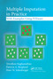 Multiple Imputation in Practice (With Examples Using IVEware) by Trivellore Raghunathan, Patricia A. Berglund, Peter W. Solenberger, 9780367734039