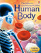 Complete Book of the Human Body by Anna Claybourne, Various, 9781835409909