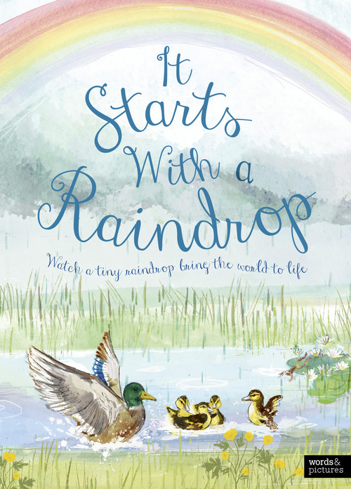 It Starts With A Raindrop by Sally Garland, Aimee Gallagher, 9780711285941