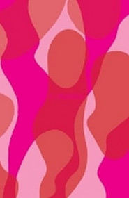 Flamingo by Chloe Sells, 9781910401163