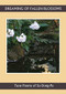 Dreaming of Falling Blossoms (Tune Poems of Su Dong-po) by Su Dong-Po, Yun Wang, Thomas R. Smith, 9781945680274