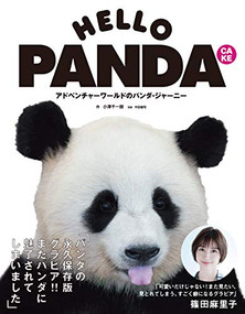Hello Panda Cake by Senichiro Ozawa, 9784862562340