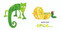 You're My Hungry Little Caterpillar by Eric Carle, Eric Carle, 9780593886687