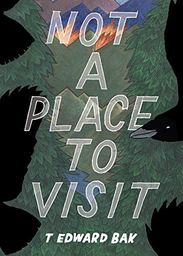 Not A Place To Visit by T Edward Bak, T Edward Bak, 9781942801764