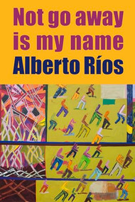 Not Go Away Is My Name by Alberto Ríos, 9781556595875