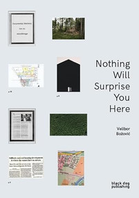 Nothing will Surprise you Here by Velibor Bozovic, 9781911164289