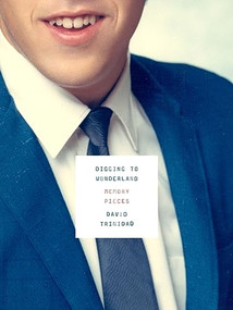 Digging to Wonderland (Memory Pieces) by David Trinidad, 9781933527284