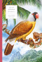 Atlas of Extinct Animals by Radek Maly, Pavel Dvorsky, Jiri Grbavcic, 9788000061269
