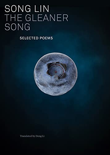 The Gleaner Song by Song Lin, Li Dong, 9781646051441