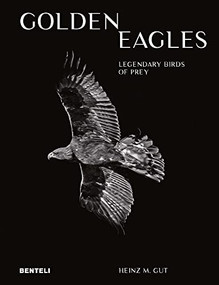 Golden Eagles: Legendary Birds of Prey by Heinz M. Gut, 9783716518663