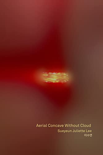 Aerial Concave Without Cloud by Sueyeun Juliette Lee, 9781643621166