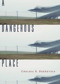A Dangerous Place - 9781946448866 by Chelsea B. DesAutels, 9781946448866