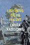 Lightning Falls in Love by Laura Kasischke, 9781556596360