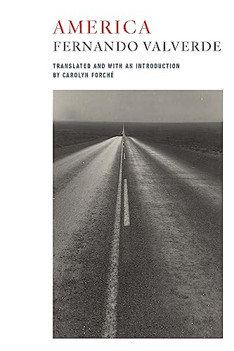 America (Bilingual Edition) by Fernando Valverde, Carolyn Forche, 9781556596223