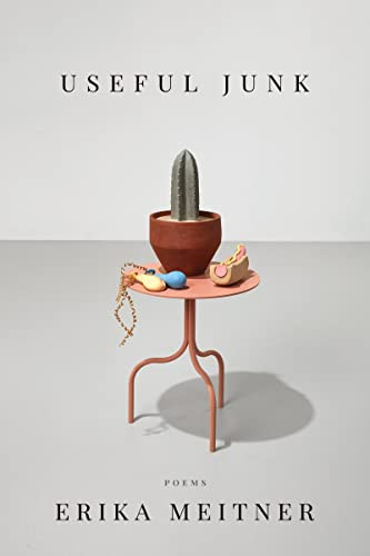 Useful Junk by Erika Meitner, 9781950774531