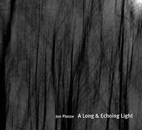 A Long & Echoing Light by Jon Plasse, 9781954119116