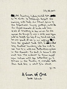 A Sum of One by Derek Schrock, 9781954119178