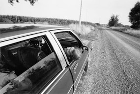 The Mennonites by Larry Towell, 9781910401538