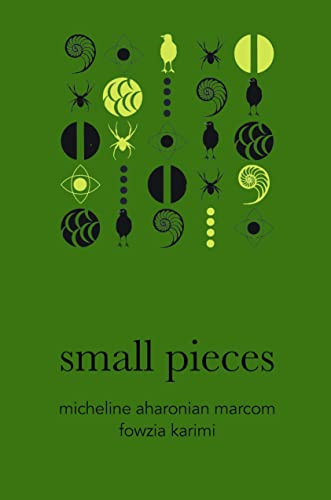 small pieces by Micheline Aharonian Marcom, Fowzia Karimi, 9781628974508