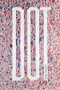 Dot - 9781566896559 by Ron Padgett, 9781566896559