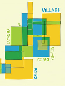Village by LaTasha N. Nevada Diggs, 9781566896610