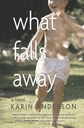 What Falls Away by Karin Anderson, 9781948814799
