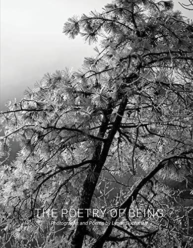 The Poetry of Being (Photographs and Haikus) by Lynne Buchanan, Pradip Malde, James Lenfestey, 9781954119239