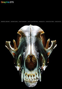 Graphis Journal Magazine 375 by B. Martin Pedersen, 9781954632110
