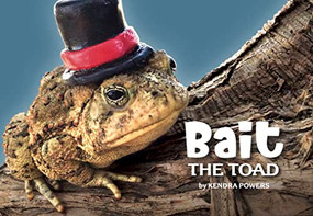Bait the Toad by Kendra Powers, 9781733547451