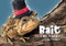 Bait the Toad by Kendra Powers, 9781733547451
