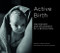 Active Birth (The History and Philosophy of a Revolution) by Janet Balaskas, Anthea Sieveking, 9781780667904