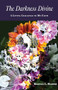 The Darkness Divine (A Loving Challenge to My Faith) by Kristen L. Harper, 9781558968684