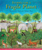 Stories for a Fragile Planet by Kenneth Steven, Jane Ray, 9780745961576