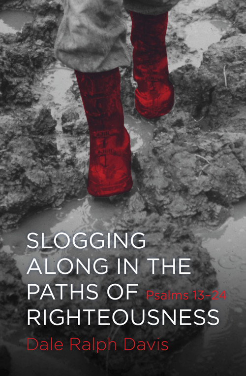 Slogging Along in the Paths of Righteousness (Psalms 13-24) by Dale Ralph Davis, 9781781913048