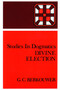 Divine Election by G. C. Berkouwer, 9780802848130