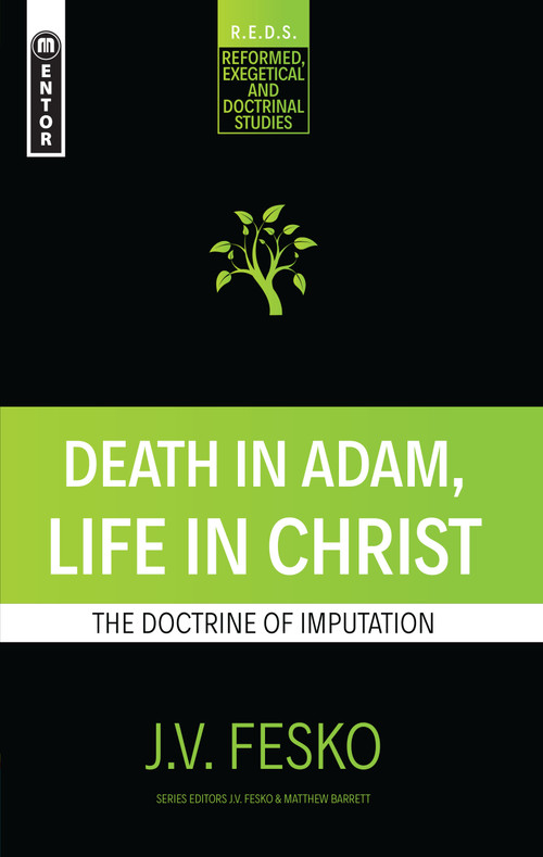 Death in Adam, Life in Christ (The Doctrine of Imputation) by J. V. Fesko, 9781781919088
