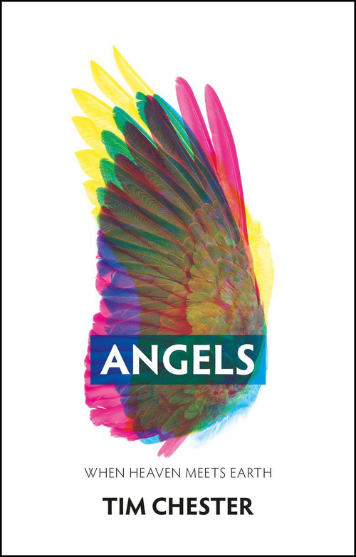Angels (When Heaven Meets Earth) - 9781527108868 by Tim Chester, 9781527108868