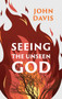 Seeing the Unseen God by John Davis, 9781527110014