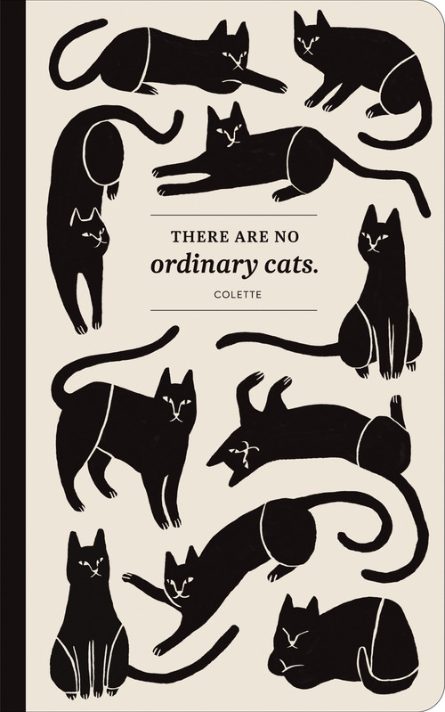 There are no ordinary cats, 9781943200535