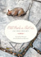 Odd Birds & Fat Cats ((An Urban Bestiary)) by Peter Wortsman, Aurélie Bernard Wortsman, 9781885983596