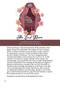 Jane Austen Oracle by Lulumineuse, Sandrine Fourrier, 9781835410646