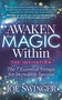 Awaken the Magic Within (...The Invitation) by Joe Swinger, 9781683507093