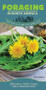 Foraging in North America (The Top 12 Plants to Seek Out) by Tom Anderson, 9781591938323