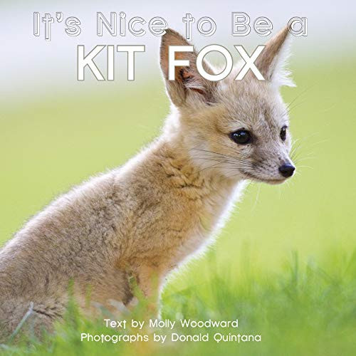It's Nice to Be a Kit Fox by Molly Woodward, Donald Quintana, 9781597144018