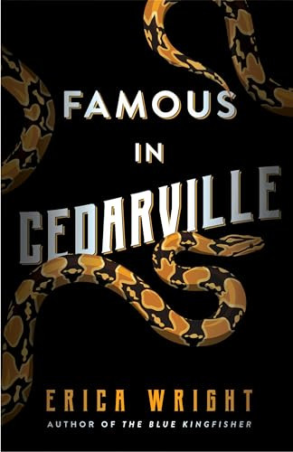Famous in Cedarville by Erica Wright, 9781947993723