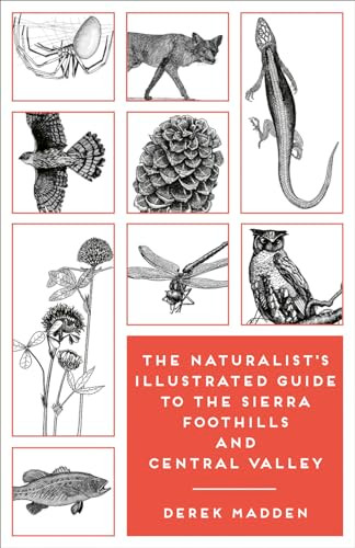 The Naturalist's Illustrated Guide to the Sierra Foothills and Central Valley by Derek Madden, Ken Charters, Erinn Madden, 9781597144865