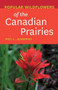 Popular Wildflowers of the Canadian Prairies by Neil L. Jennings, 9781771603515