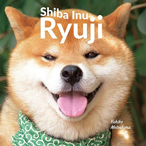 Shiba Inu Ryuji by Yukiko Motoshima, 9784756253798