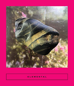 Elemental (Earth Stories) by Sarah Coolidge, Erika Kobayashi, Farkhondeh Aghaei, Andreas Moster, Dorota Brauntsch, Bakhiyar Ali, Tamar Weiss-Gabbay, 9781949641110